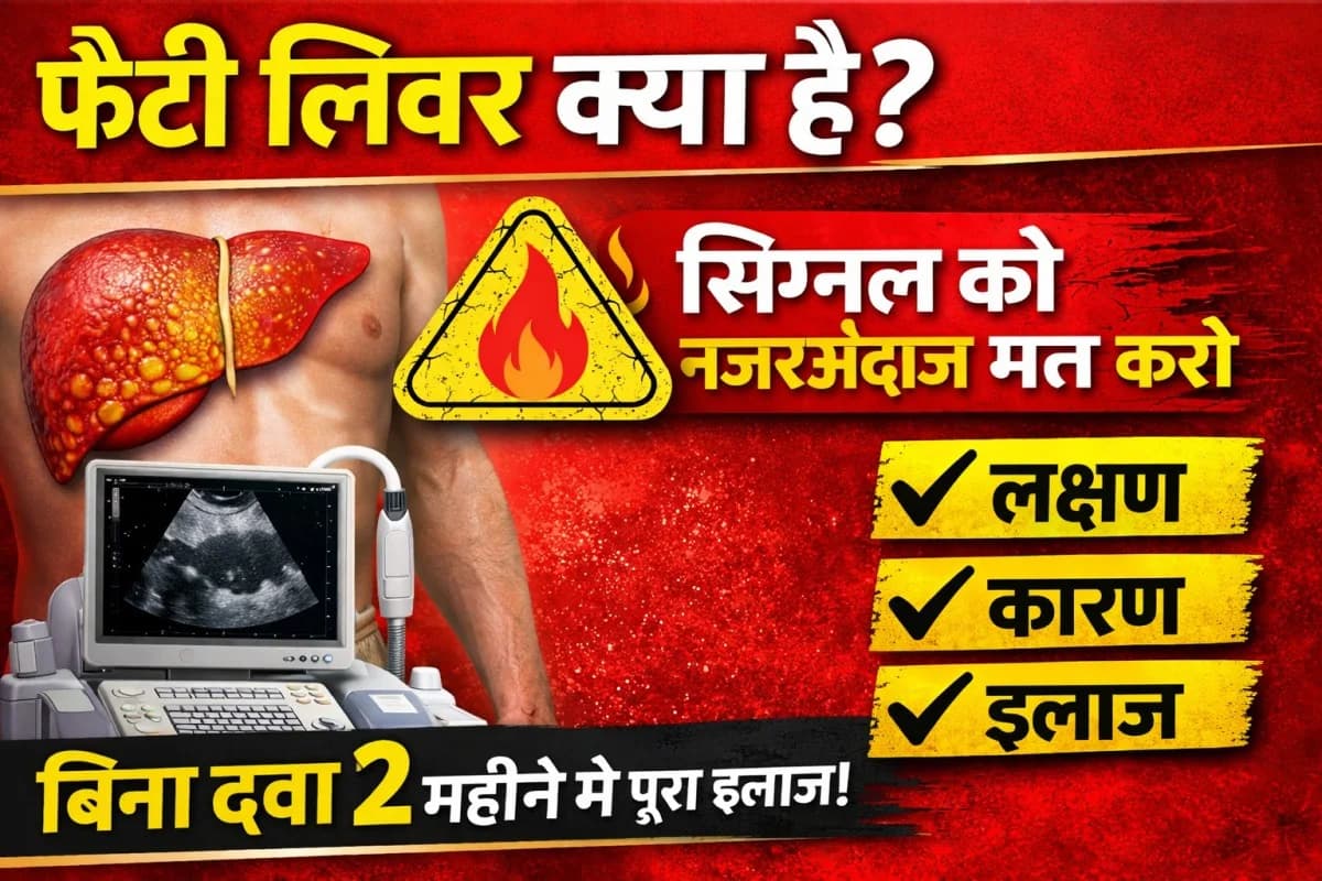 फैटी लिवर क्या है? इसके लक्षण, कारण और इलाज